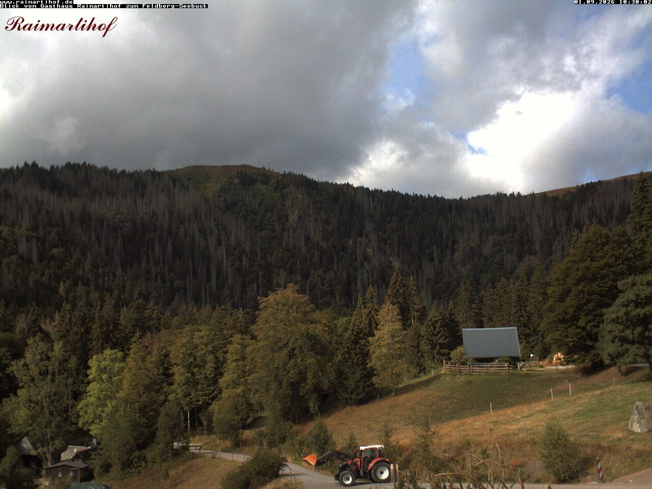Archiv Foto Webcam Feldberg Raimartihof