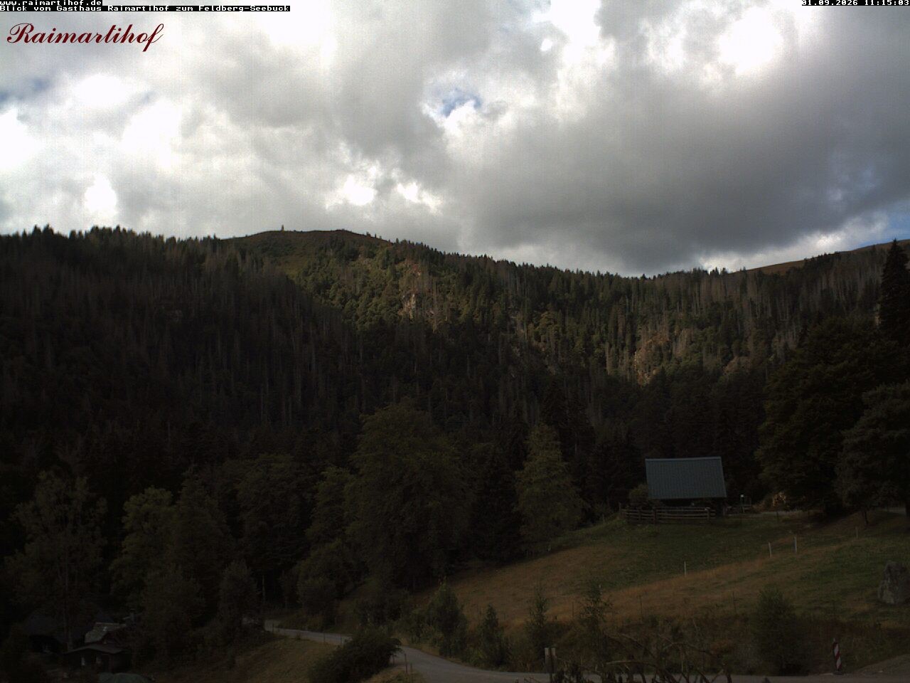 Archiv Foto Webcam Feldberg Raimartihof