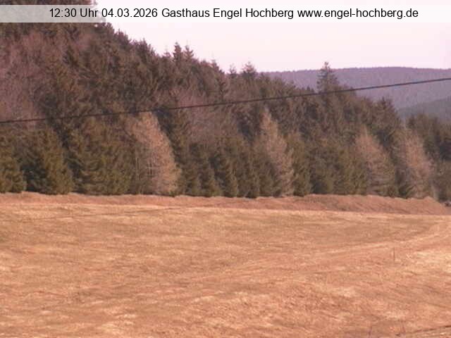 Archived image Webcam Titisee-Neustadt: Langenordnach