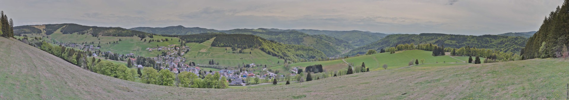 Archiv Foto Webcam Todtnauberg: Panoramablick