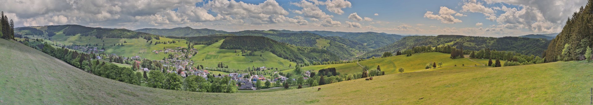 Archiv Foto Webcam Todtnauberg: Panoramablick