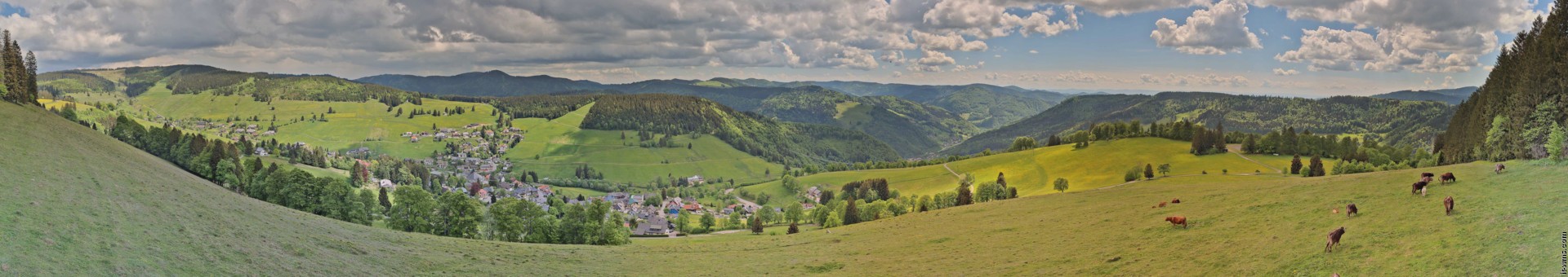 Archived image Webcam Todtnauberg - Panoramic view