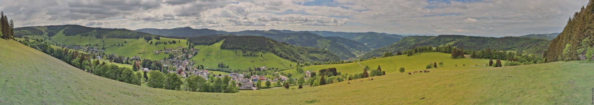 Archiv Foto Webcam Todtnauberg: Panoramablick