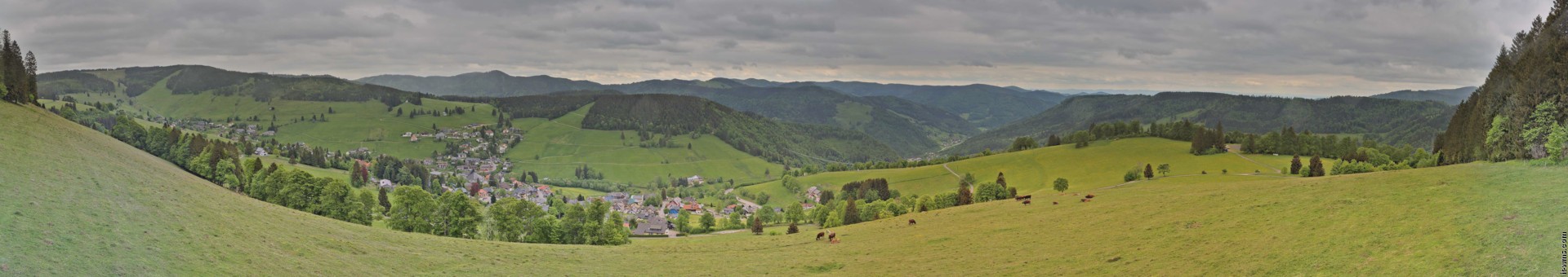 Archiv Foto Webcam Todtnauberg: Panoramablick