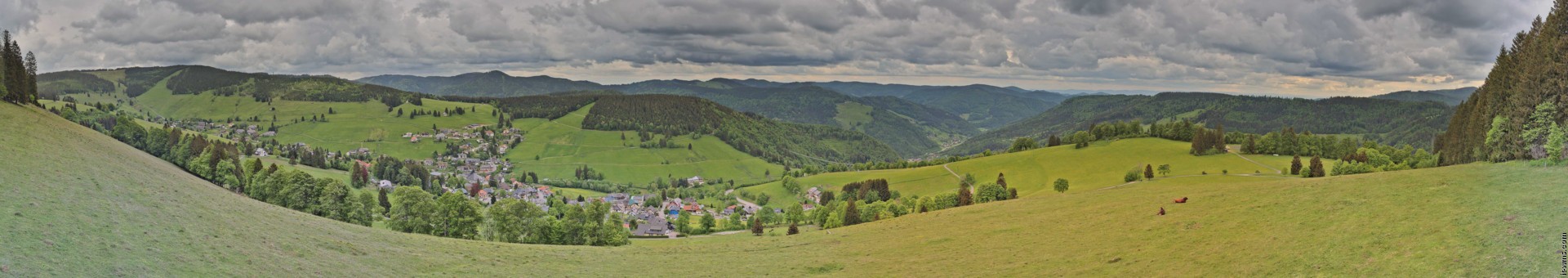 Archiv Foto Webcam Todtnauberg: Panoramablick