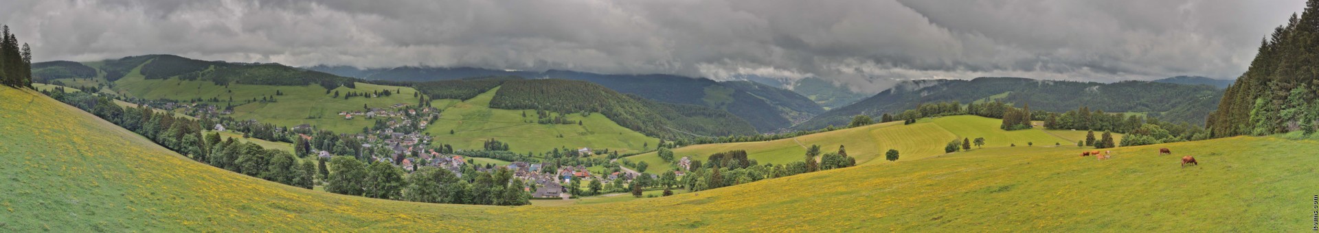 Archiv Foto Webcam Todtnauberg: Panoramablick