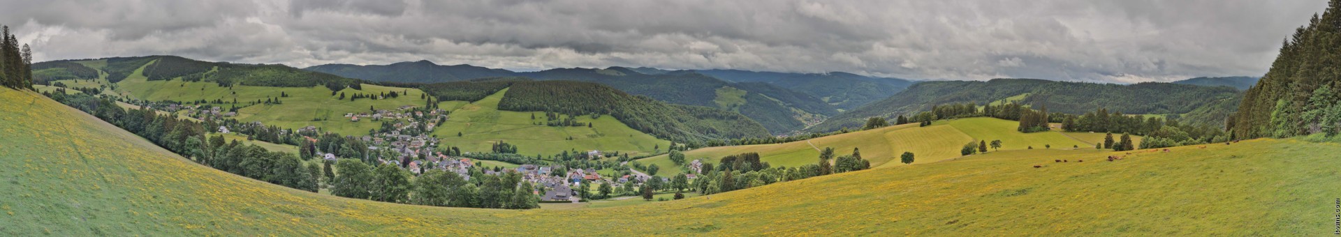 Archiv Foto Webcam Todtnauberg: Panoramablick