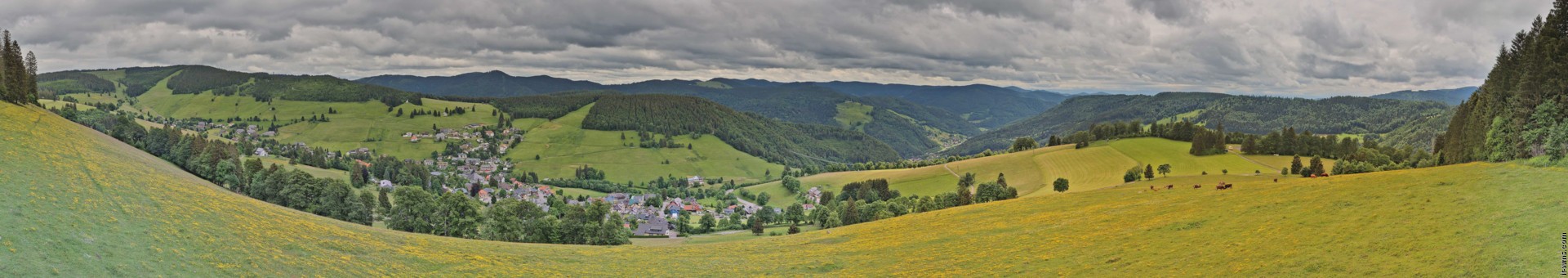 Archiv Foto Webcam Todtnauberg: Panoramablick