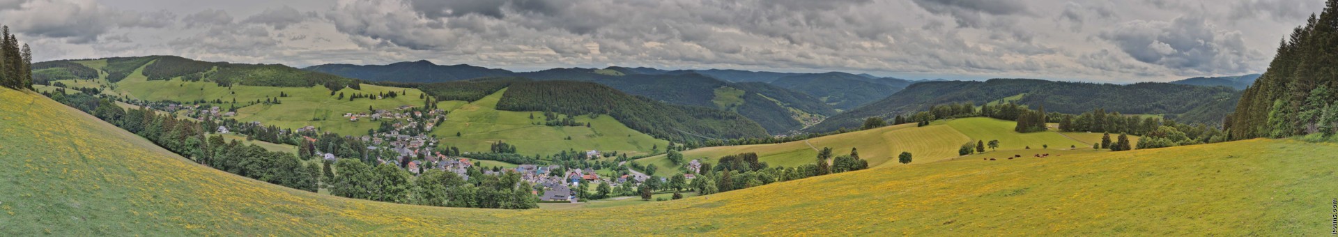 Archiv Foto Webcam Todtnauberg: Panoramablick