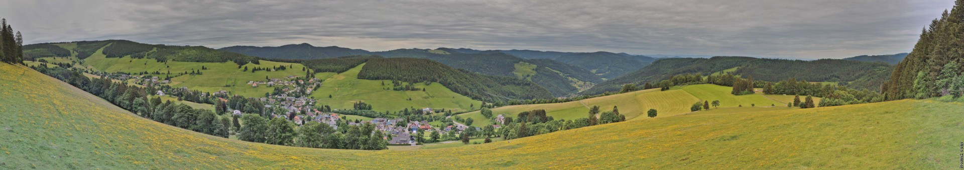 Archived image Webcam Todtnauberg - Panoramic view