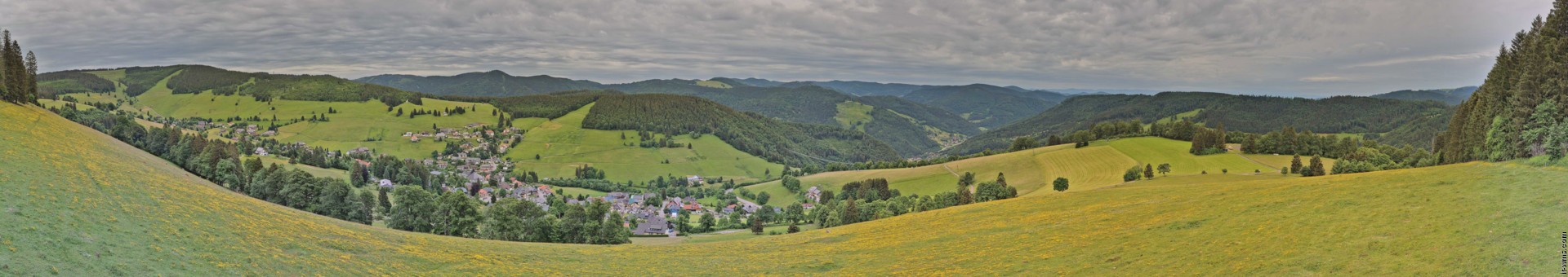 Archived image Webcam Todtnauberg - Panoramic view