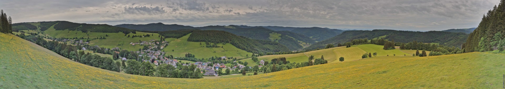 Archived image Webcam Todtnauberg - Panoramic view
