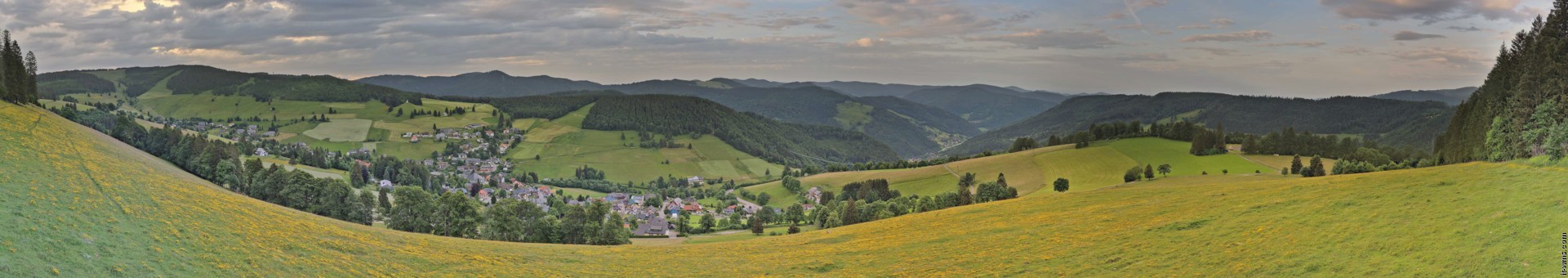 Archiv Foto Webcam Todtnauberg: Panoramablick