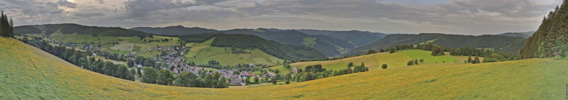 Archiv Foto Webcam Todtnauberg: Panoramablick