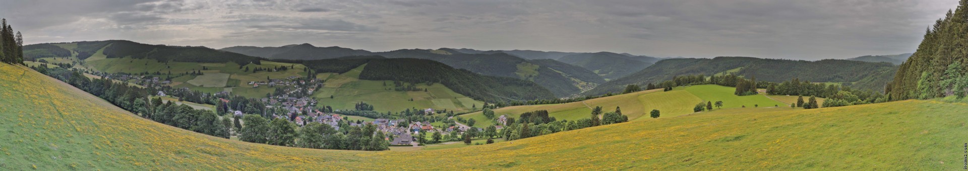 Archiv Foto Webcam Todtnauberg: Panoramablick