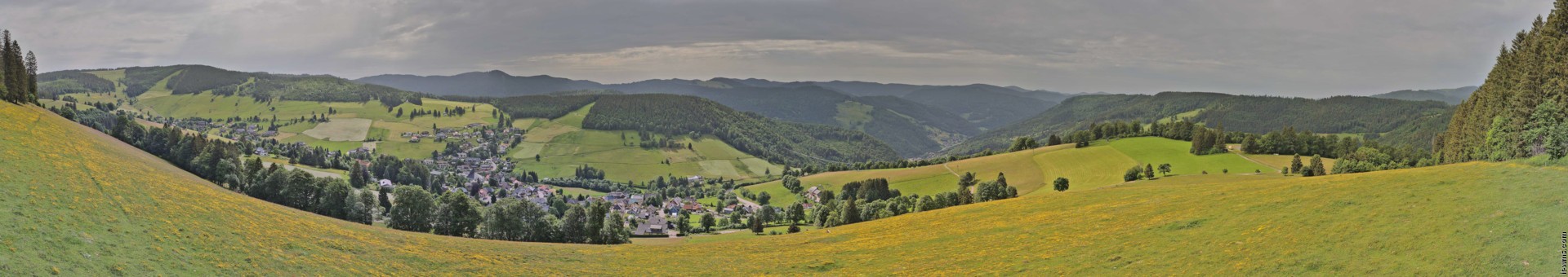 Archiv Foto Webcam Todtnauberg: Panoramablick