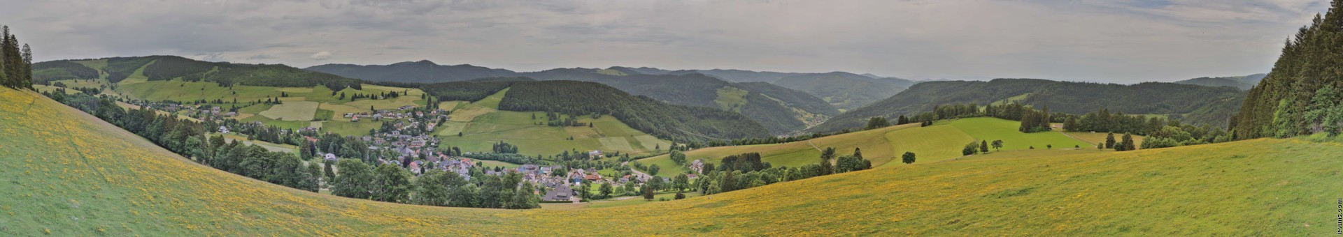 Archiv Foto Webcam Todtnauberg: Panoramablick