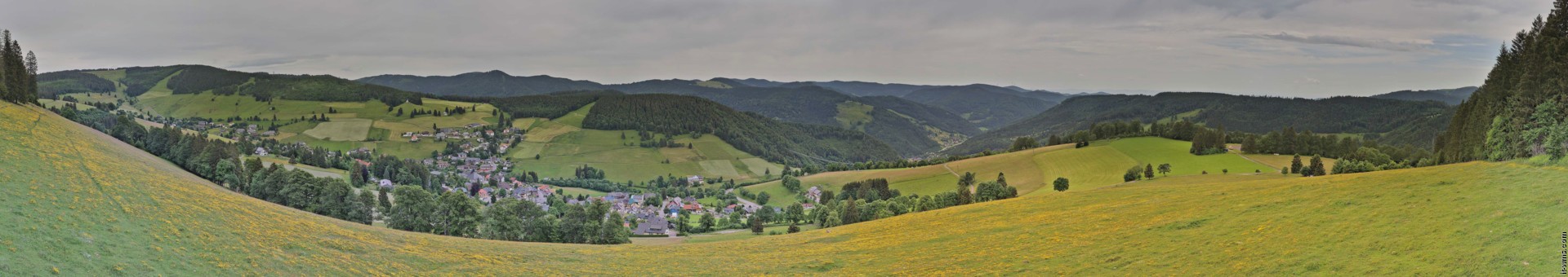 Archived image Webcam Todtnauberg - Panoramic view