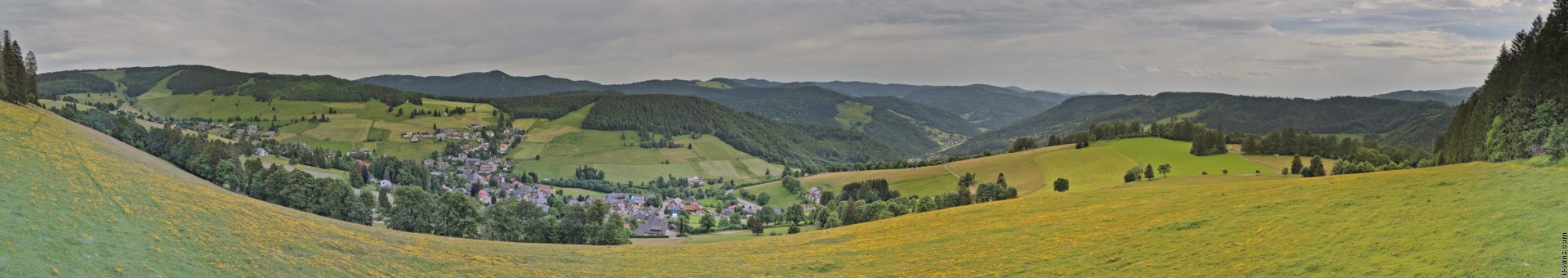 Archived image Webcam Todtnauberg - Panoramic view