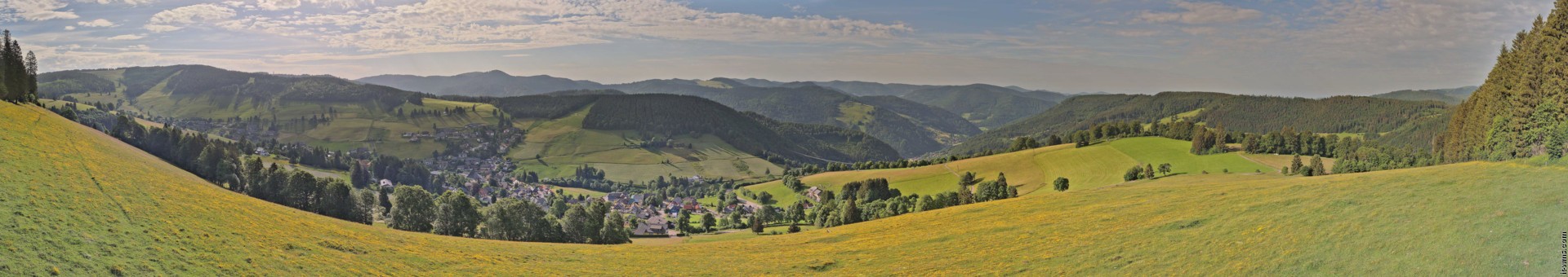 Archiv Foto Webcam Todtnauberg: Panoramablick