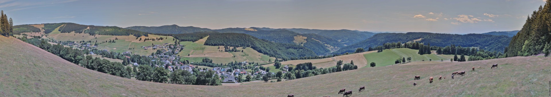 Archived image Webcam Todtnauberg - Panoramic view