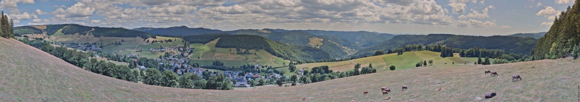 Archiv Foto Webcam Todtnauberg: Panoramablick