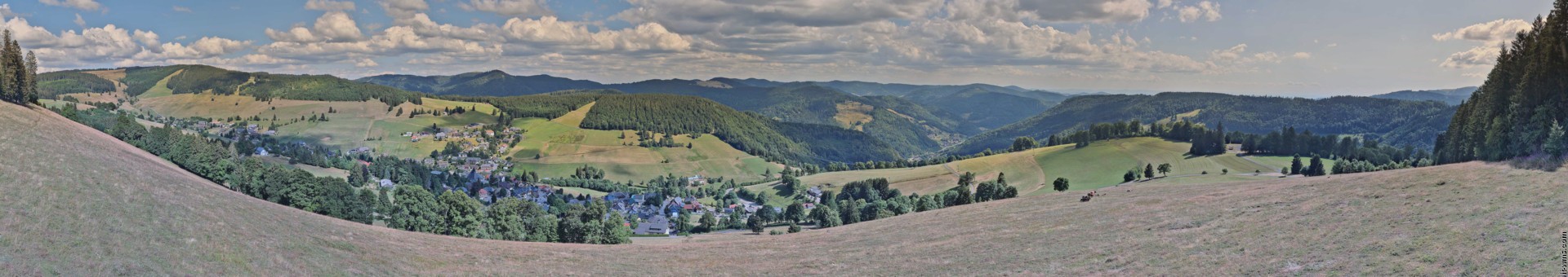 Archiv Foto Webcam Todtnauberg: Panoramablick