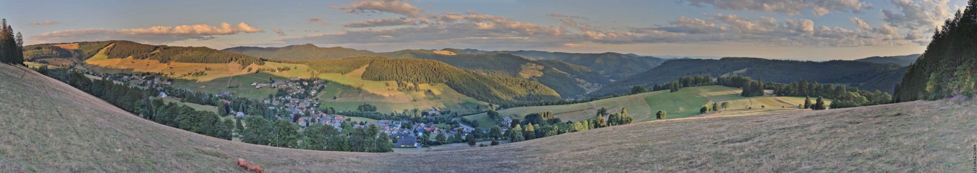 Archiv Foto Webcam Todtnauberg: Panoramablick