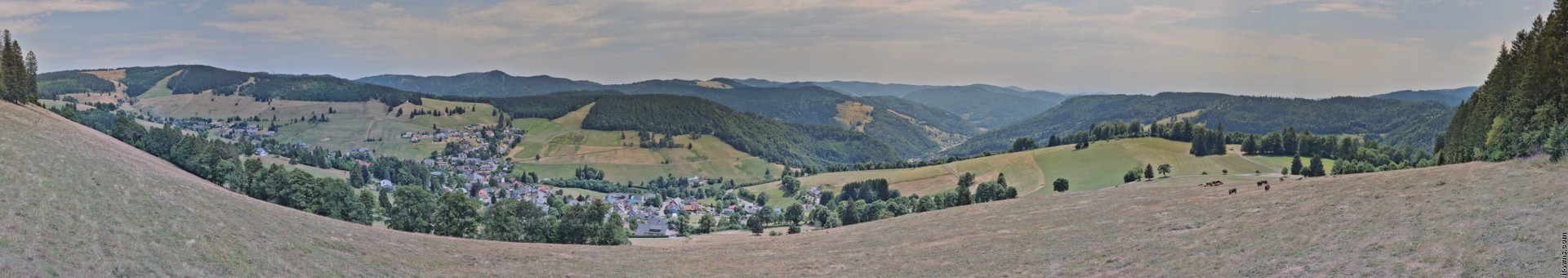 Archived image Webcam Todtnauberg - Panoramic view