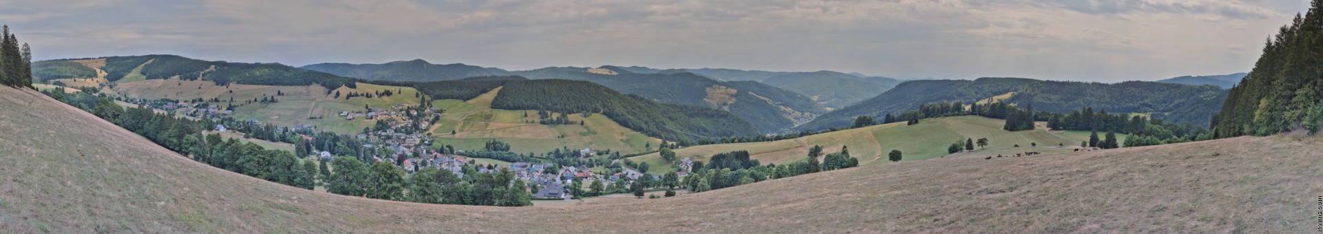 Archived image Webcam Todtnauberg - Panoramic view