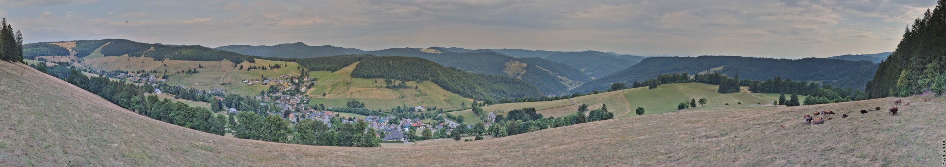 Archived image Webcam Todtnauberg - Panoramic view