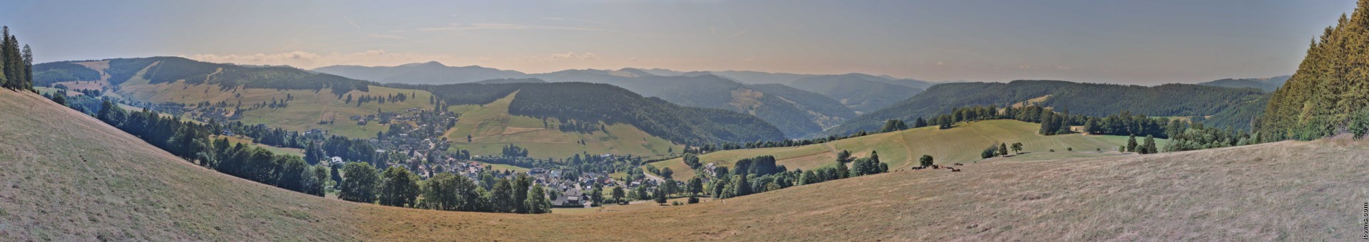 Archiv Foto Webcam Todtnauberg: Panoramablick