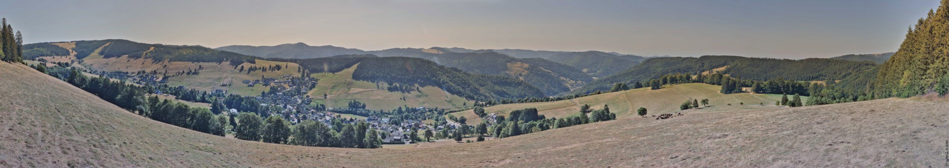Archiv Foto Webcam Todtnauberg: Panoramablick