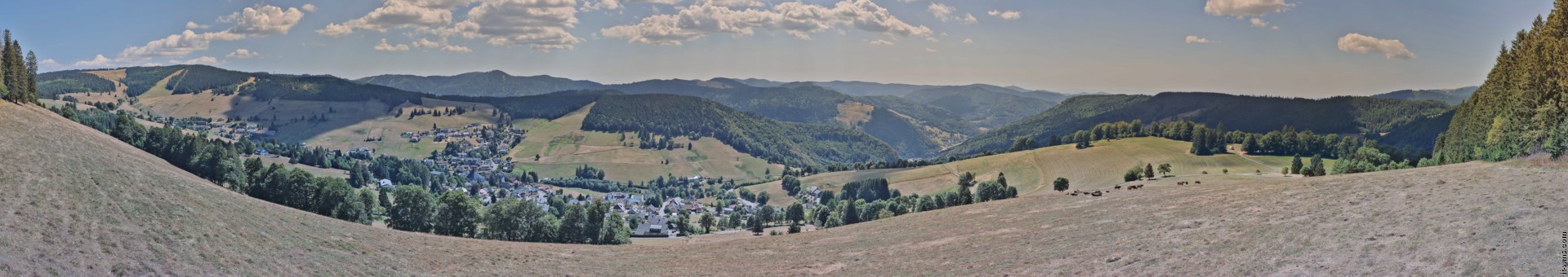 Archiv Foto Webcam Todtnauberg: Panoramablick
