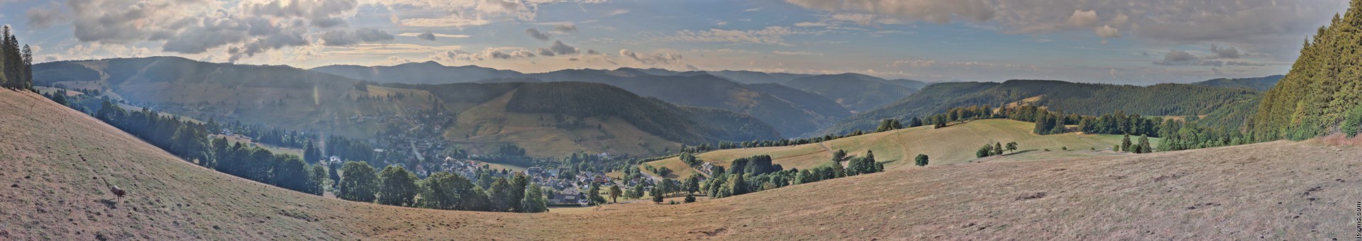 Archiv Foto Webcam Todtnauberg: Panoramablick