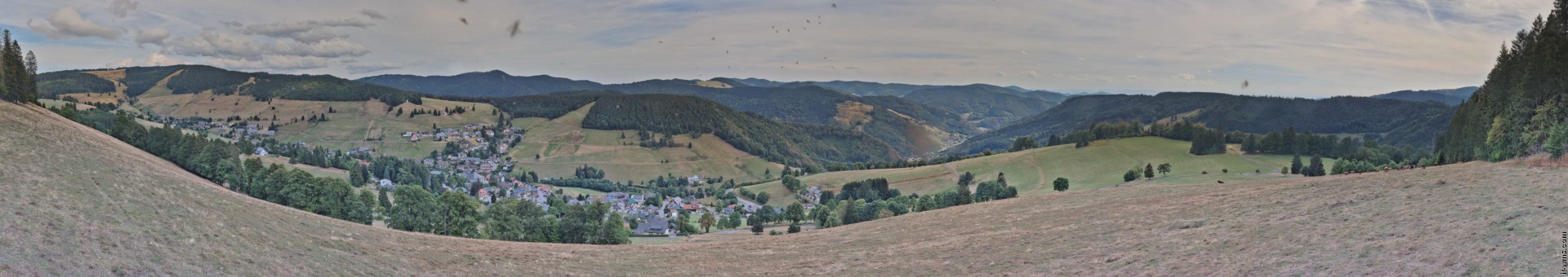 Archived image Webcam Todtnauberg - Panoramic view