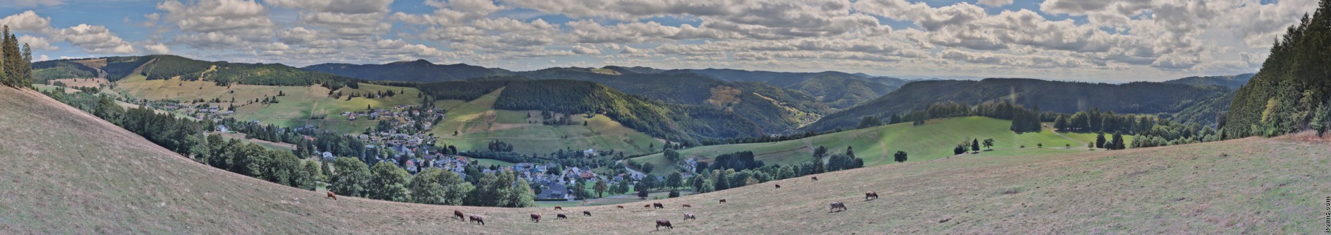 Archived image Webcam Todtnauberg - Panoramic view