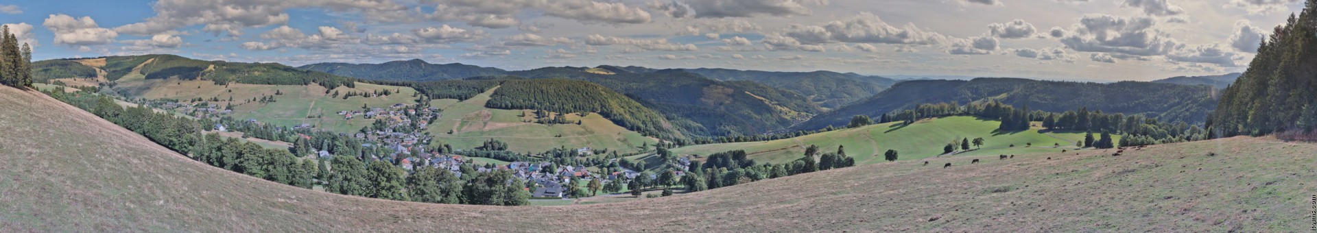 Archived image Webcam Todtnauberg - Panoramic view