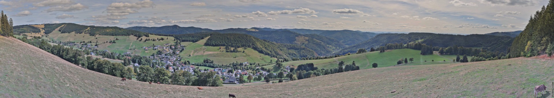 Archiv Foto Webcam Todtnauberg: Panoramablick