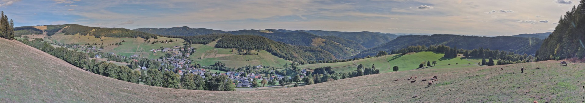 Archiv Foto Webcam Todtnauberg: Panoramablick