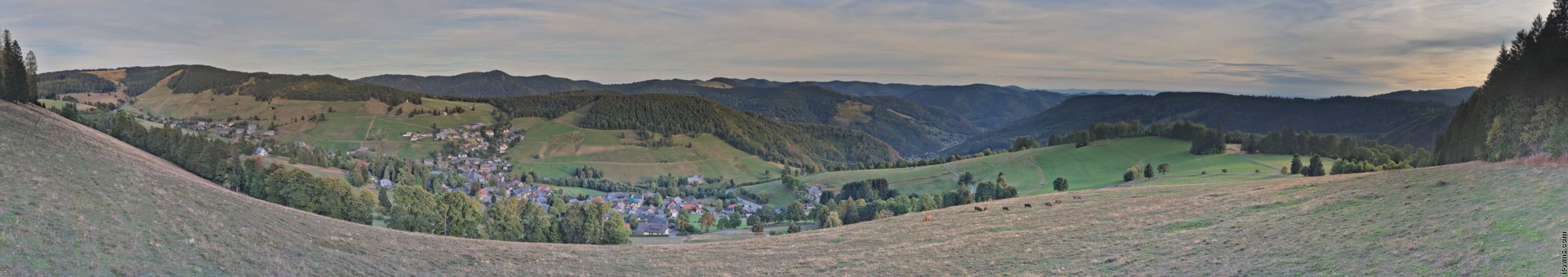 Archived image Webcam Todtnauberg - Panoramic view