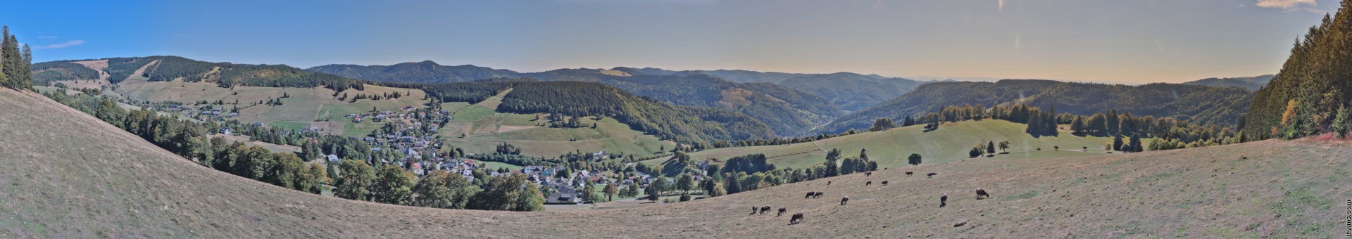 Archiv Foto Webcam Todtnauberg: Panoramablick