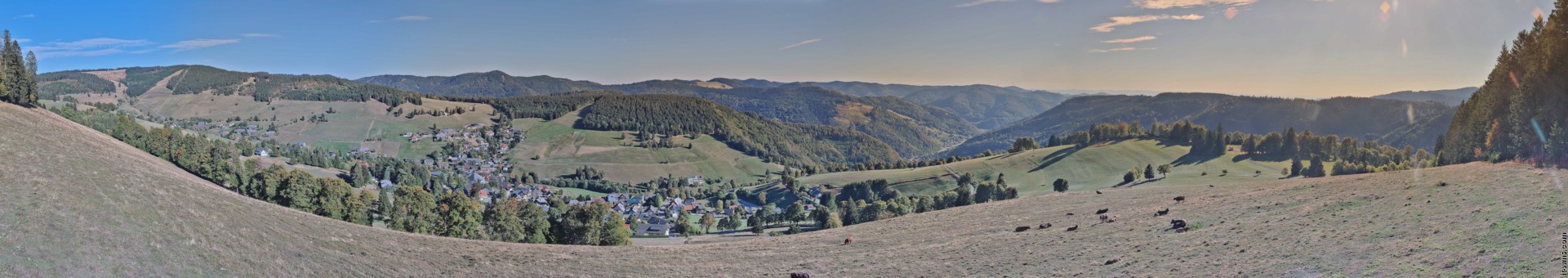 Archiv Foto Webcam Todtnauberg: Panoramablick