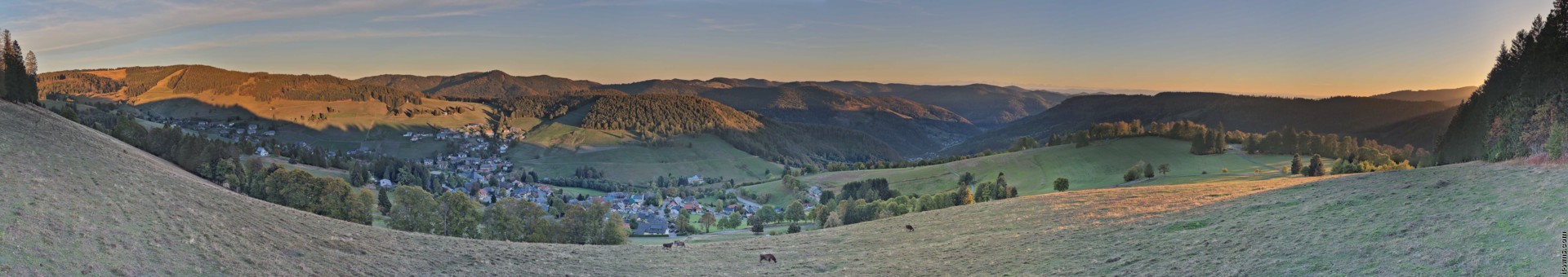 Archiv Foto Webcam Todtnauberg: Panoramablick