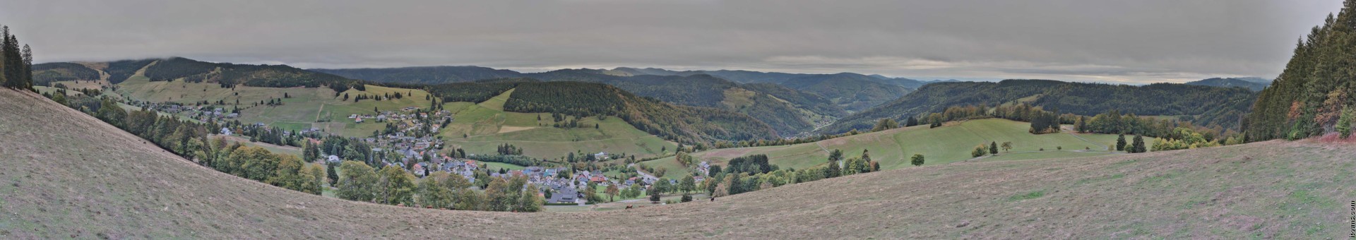 Archiv Foto Webcam Todtnauberg: Panoramablick