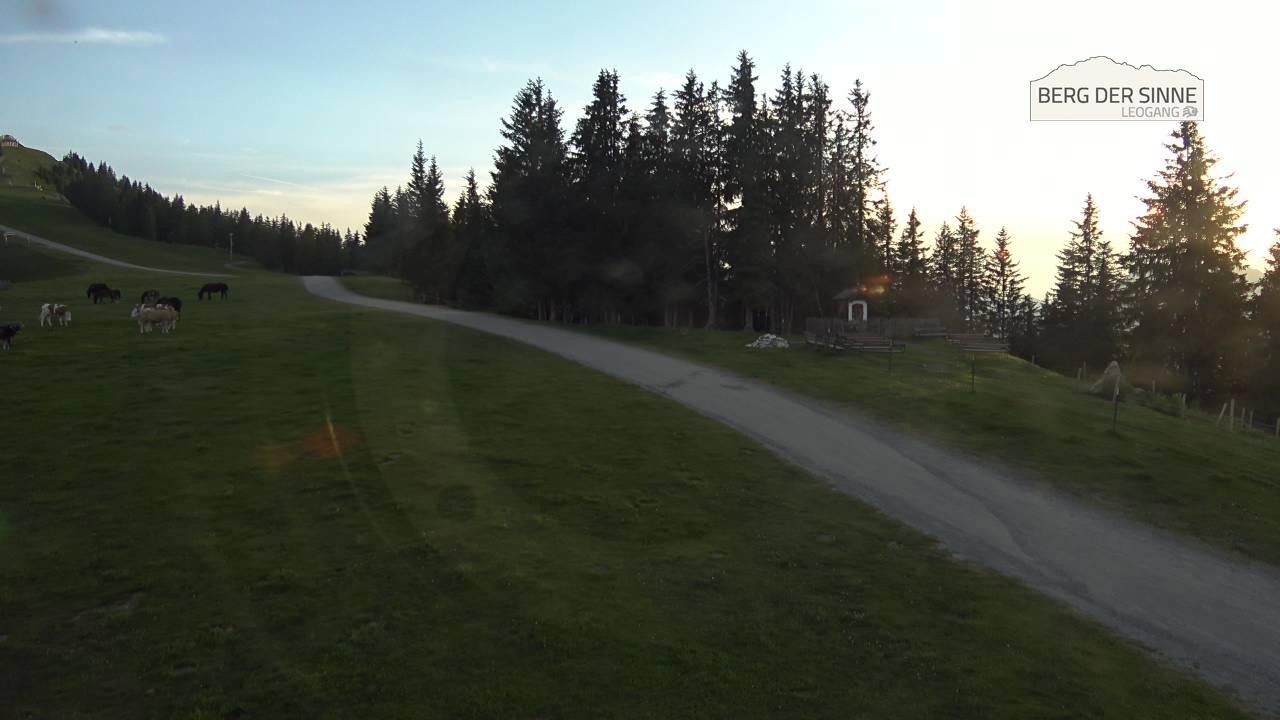 Archiv Foto Webcam Bergstation Asitzbahn