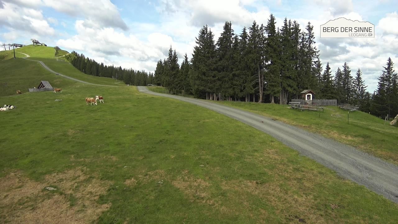 Archiv Foto Webcam Bergstation Asitzbahn