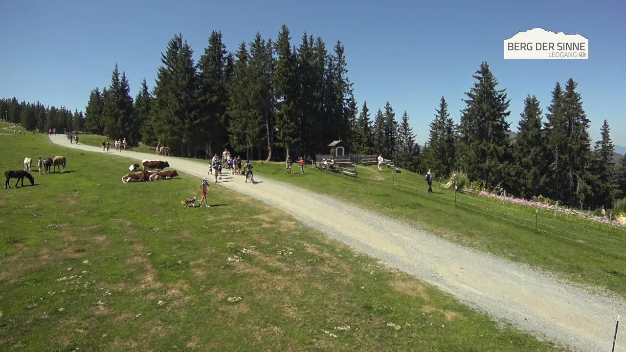Archived image Webcam Leogang - Asitz Top Station