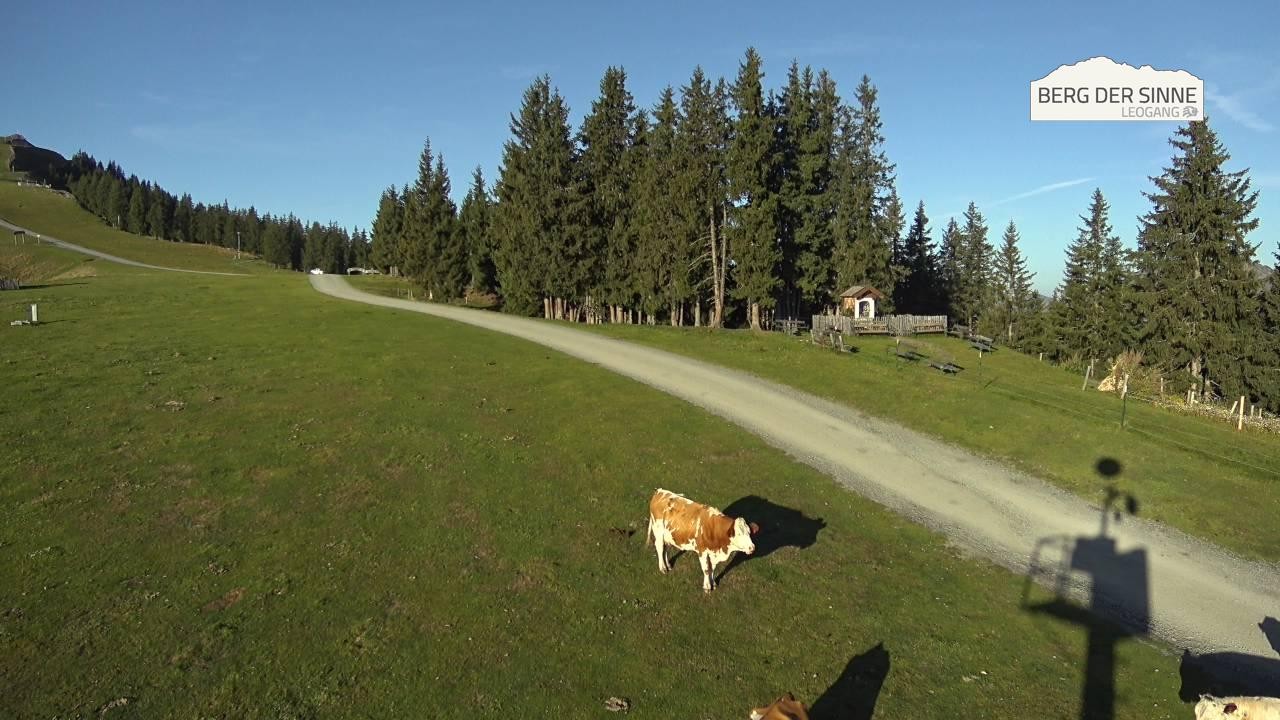 Archiv Foto Webcam Leogang: Bergstation Asitzbahn