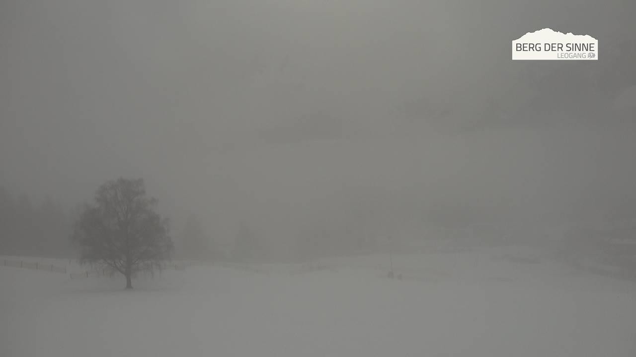 Archiv Foto Webcam Leogang Dorfblick